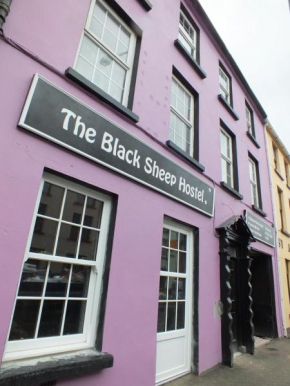 Отель The Black Sheep Hostel  Килларни